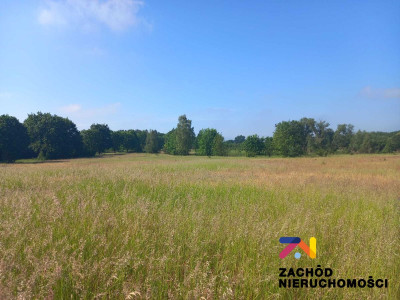 Na sprzedaż działka budowlana - Droszków -
lubuskie Zdjęcie nr 3