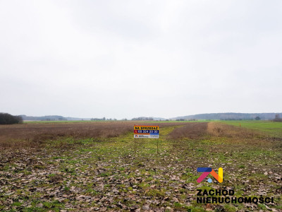 Na sprzedaż działka budowlana - Lubogoszcz -
lubuskie Zdjęcie nr 4