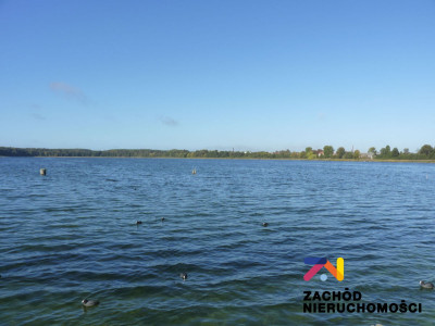 Na sprzedaż działka rolna - Świebodzin -
lubuskie Zdjęcie nr 5