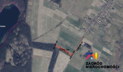 Na sprzedaż działka rolna - Świebodzin -
lubuskie Zdjęcie nr 6