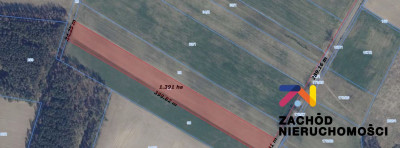 Na sprzedaż działka rolna - Świebodzin -
lubuskie Zdjęcie nr 7