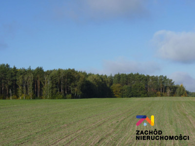 Na sprzedaż działka rolna - Świebodzin -
lubuskie Zdjęcie nr 9