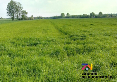 Na sprzedaż działka budowlana - Czasław - lubuskie