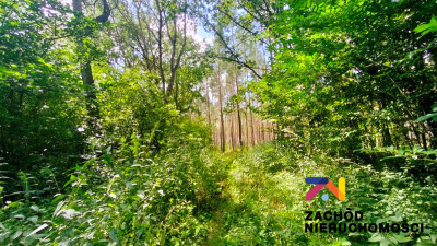 Na sprzedaż działka budowlana - Zielona Góra - lubuskie