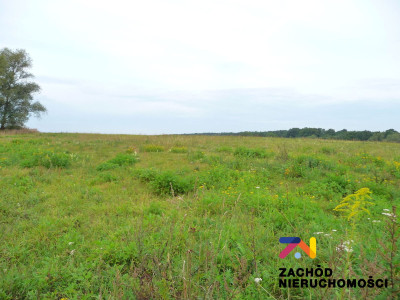 Na sprzedaż działka budowlana - Zabór - lubuskie