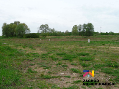 Na sprzedaż działka budowlana - Zabór -
lubuskie Zdjęcie nr 4