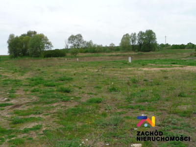 Na sprzedaż działka budowlana - Zabór -
lubuskie Zdjęcie nr 5