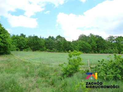Na sprzedaż działka budowlana - Drągowina -
lubuskie Zdjęcie nr 2