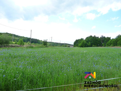 Na sprzedaż działka budowlana - Drągowina -
lubuskie Zdjęcie nr 4