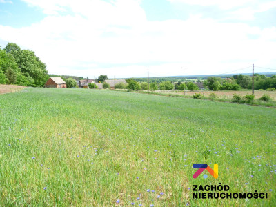 Na sprzedaż działka budowlana - Drągowina -
lubuskie Zdjęcie nr 5