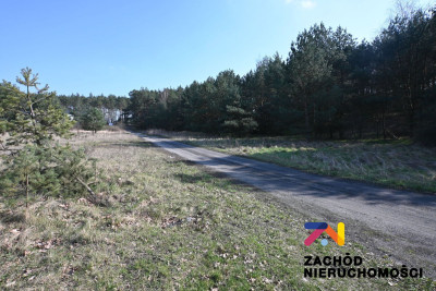 Na sprzedaż działka budowlana - Zielona Góra -
lubuskie Zdjęcie nr 3