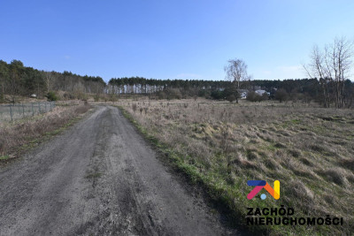 Na sprzedaż działka budowlana - Zielona Góra -
lubuskie Zdjęcie nr 5