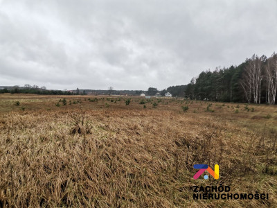 Na sprzedaż działka budowlana - Czarna -
lubuskie Zdjęcie nr 4
