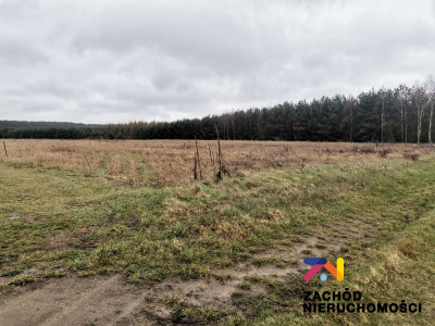 Na sprzedaż działka budowlana - Czarna -
lubuskie Zdjęcie nr 5