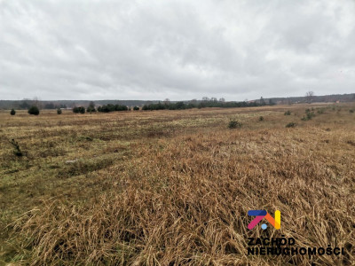 Na sprzedaż działka budowlana - Czarna - lubuskie