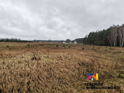 Na sprzedaż działka budowlana - Czarna -
lubuskie Zdjęcie nr 4