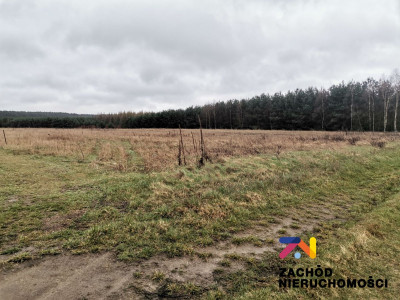 Na sprzedaż działka budowlana - Czarna -
lubuskie Zdjęcie nr 5