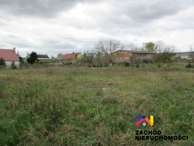 Na sprzedaż działka budowlana - Klenica - lubuskie