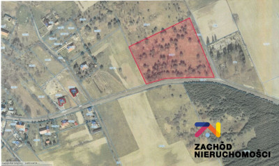 Na sprzedaż działka budowlana - Mirocin Górny - lubuskie