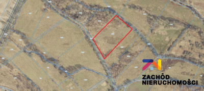 Na sprzedaż działka rolna - Piaski -
lubuskie Zdjęcie nr 4