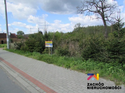 Na sprzedaż działka budowlana - Sycowice -
lubuskie Zdjęcie nr 3