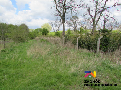 Na sprzedaż działka budowlana - Sycowice -
lubuskie Zdjęcie nr 6