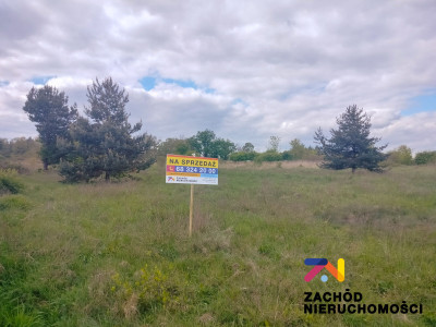Na sprzedaż działka budowlana - Zabór -
lubuskie Zdjęcie nr 4