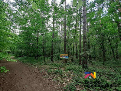 Na sprzedaż działka budowlana - Zielona Góra -
lubuskie Zdjęcie nr 3