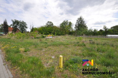 Na sprzedaż działka budowlana - Sycowice -
lubuskie Zdjęcie nr 5