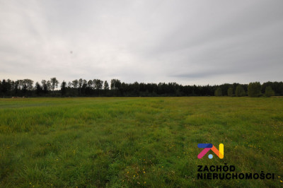 Na sprzedaż działka budowlana - Krzywczyce -
lubuskie Zdjęcie nr 3