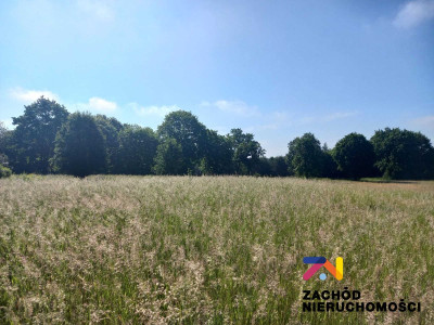 Na sprzedaż działka budowlana - Książ Śląski - lubuskie