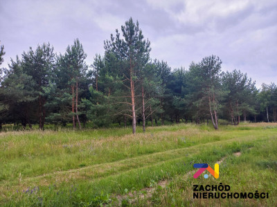 Na sprzedaż działka budowlana - Zabór - lubuskie