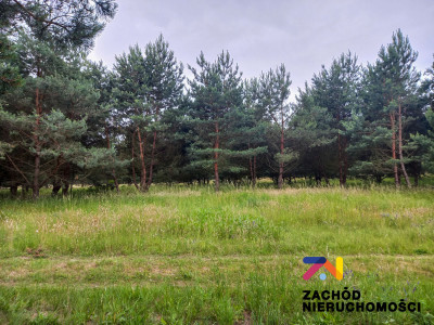 Na sprzedaż działka budowlana - Zabór -
lubuskie Zdjęcie nr 2
