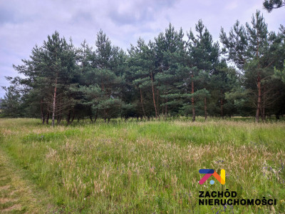 Na sprzedaż działka budowlana - Zabór -
lubuskie Zdjęcie nr 4