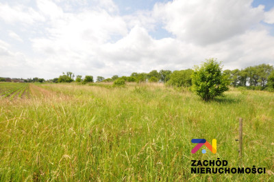 Na sprzedaż działka budowlana - Pomorsko - lubuskie