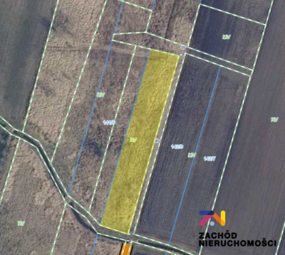 Na sprzedaż działka budowlana - Pomorsko -
lubuskie Zdjęcie nr 3