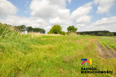 Na sprzedaż działka budowlana - Pomorsko -
lubuskie Zdjęcie nr 5