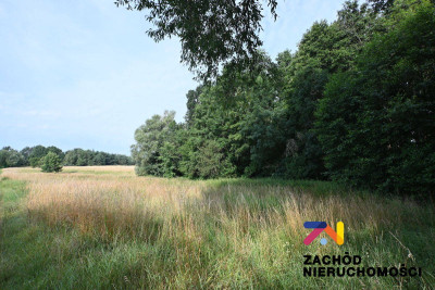 Na sprzedaż działka budowlana - lubuskie