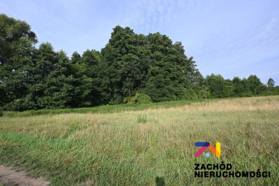 Na sprzedaż działka budowlana - lubuskie