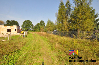 Na sprzedaż działka budowlana - Ługi -
lubuskie Zdjęcie nr 7