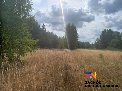 Na sprzedaż działka budowlana - Świdnica - lubuskie