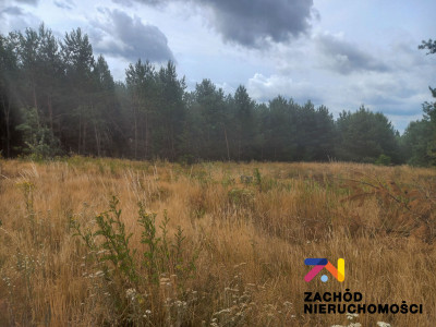 Na sprzedaż działka budowlana - Świdnica -
lubuskie Zdjęcie nr 2