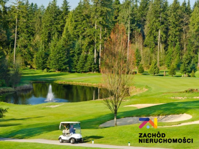 Na sprzedaż działka budowlana - Przytok -
lubuskie Zdjęcie nr 11