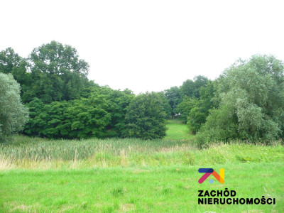 Na sprzedaż działka budowlana - Przytok - lubuskie