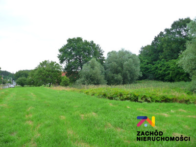 Na sprzedaż działka budowlana - Przytok -
lubuskie Zdjęcie nr 2