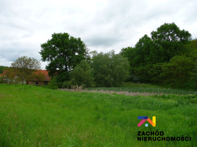Na sprzedaż działka budowlana - Przytok -
lubuskie Zdjęcie nr 3