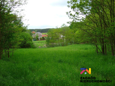 Na sprzedaż działka budowlana - Przytok -
lubuskie Zdjęcie nr 4