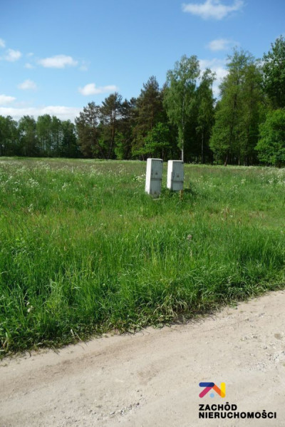 Na sprzedaż działka leśna - Świdnica -
lubuskie Zdjęcie nr 4