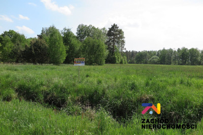 Na sprzedaż działka budowlana - Świdnica - lubuskie