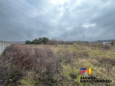 Na sprzedaż działka inwestycyjna - Zielona Góra -
lubuskie Zdjęcie nr 2